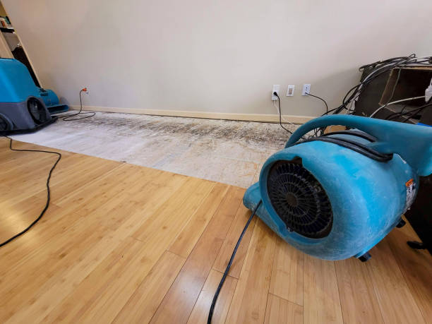 Professional Structural Drying technician working in Jackson, GA